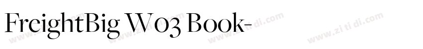 FreightBig W03 Book字体转换